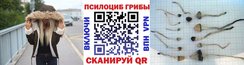 кракен маркетплейс  купить  сайты  Ленинск-Кузнецкий  Галлюциногенные грибы GOLDEN TEACHER 